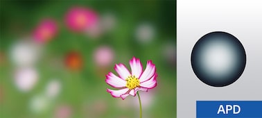 Slika – FE 100mm F2.8 STF GM OSS