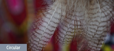 Slika – E 16 – 55 mm F2,8 G
