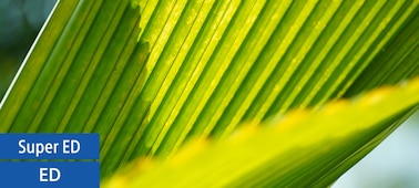 Slika – FE 135mm F1.8 GM